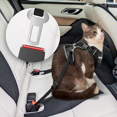 BECHTEL breathable air mesh keeps your cat cool during daily outings.