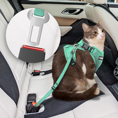 Bechtel cat harness four-buckle design for secure, adjustable fit