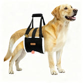 Becivi Dog Lift Harness side view showing hind-leg support for mobility