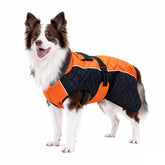 BECROWM dog coat orange front view shows waterproof fabric for windproof warmth