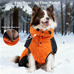 BECROWM dog coat reflective-design boosts visibility for nighttime walks