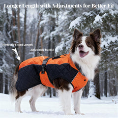BECROWM dog coat orange close-up reveals water-beading surface treatment