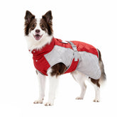 BECROWM dog coat waterproof-reflective red-xxxlarge keeps your dog dry and visible at night