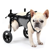 BECROWM dog wheelchair left-side view shows adjustable support for hind-leg mobility.