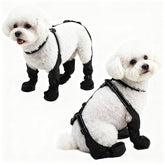 BECROWM waterproof dog boots on small paws keep paws dry during rainy walks
