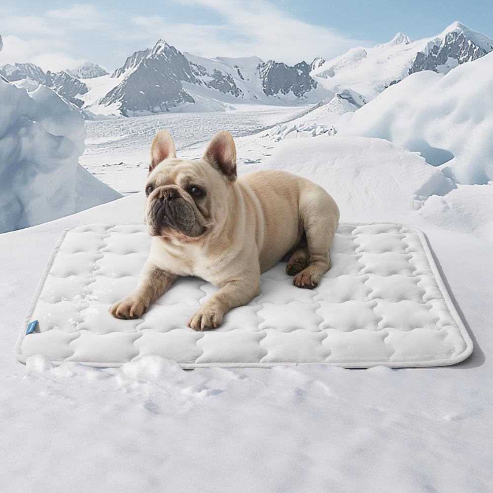 Bedsure cooling mat on floor providing refreshing summer comfort for a dog.