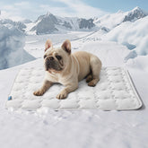 Bedsure cooling mat on floor providing refreshing summer comfort for a dog.