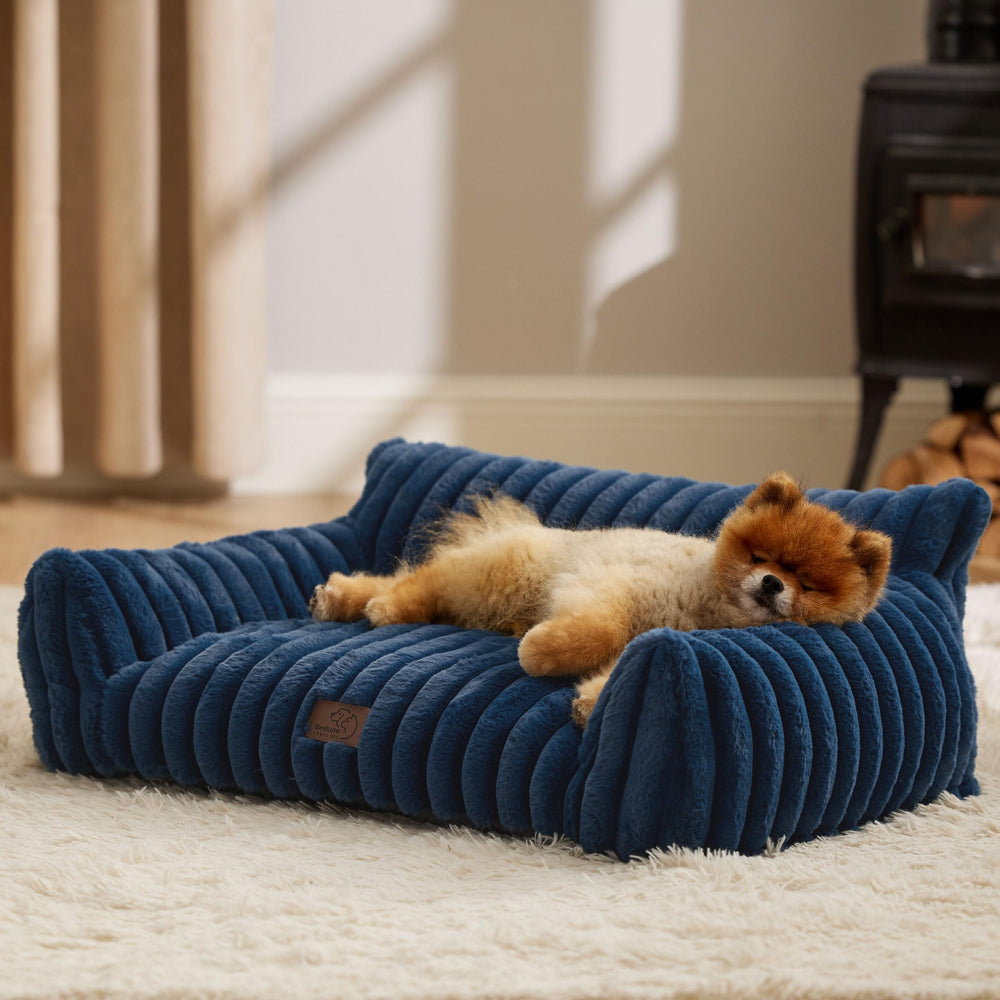 Bedsure cute cat couch night blue front view highlights plush corduroy warmth for cozy naps