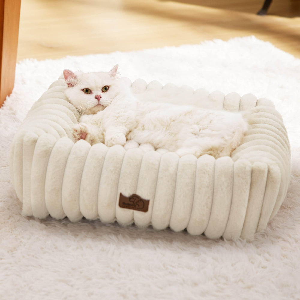 Bedsure cute dog bed cream view—cozy fur for warm naps.