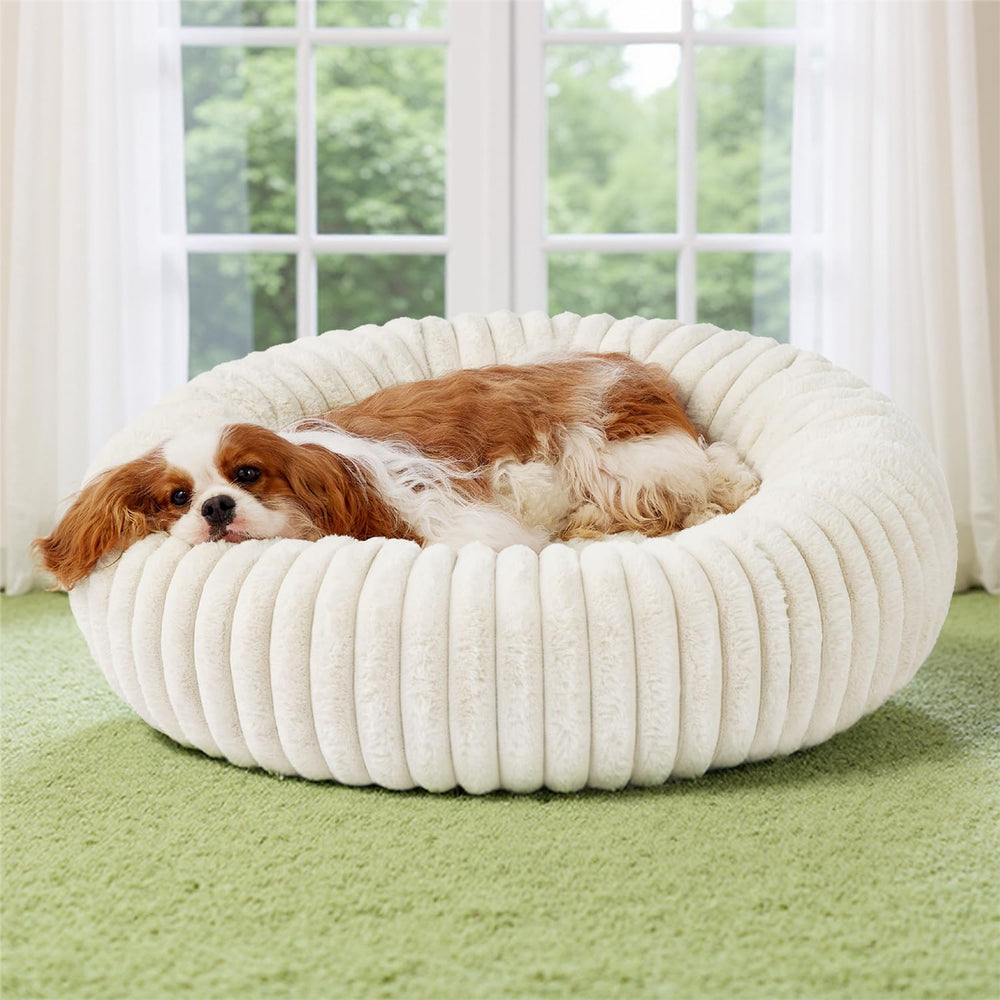 Bedsure Donut Medium Dog Bed top view shows plush lounging surface