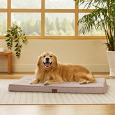Bedsure extralarge dog bed with egg crate foam provides joint support for restful sleep.