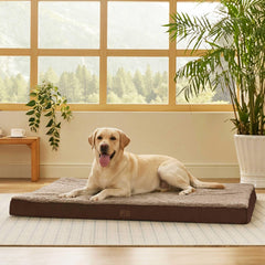 Bedsure giant dog bed 53x36 overview for jumbo dogs with orthopedic foam support.