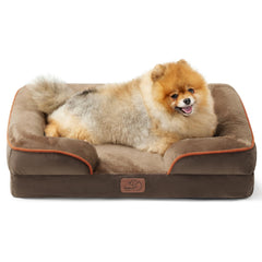 Bedsure orthopedic dog bed with foam supports small dogs' joints and comfort