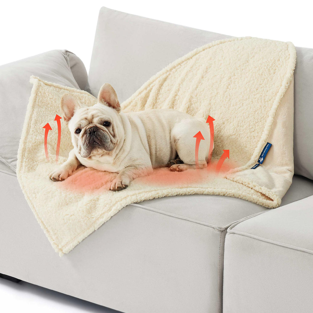 Bedsure self-warming blanket with sherpa side offers plush warmth for pets