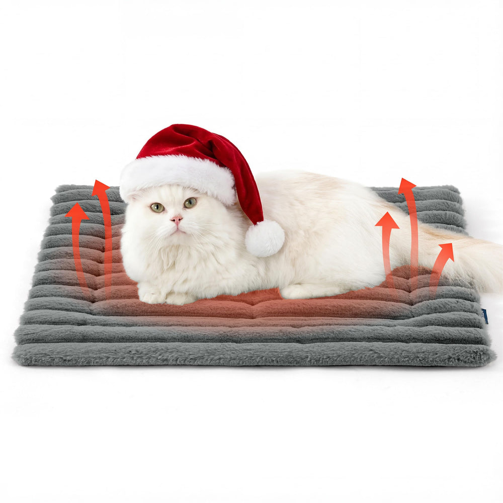 Bedsure self warming cat bed front view demonstrates cozy warmth for naps.