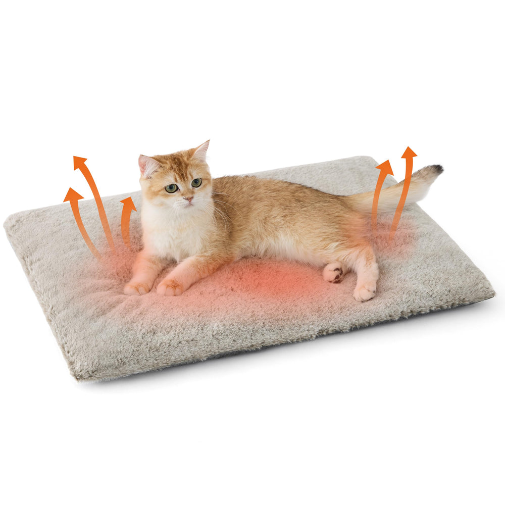 Bedsure self-warming cat bed front view shows a warm resting spot for pets