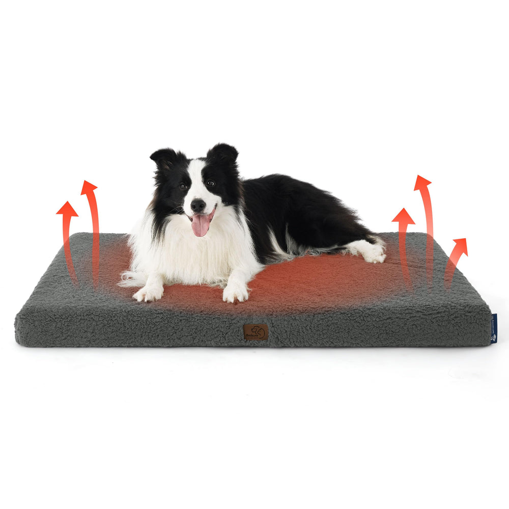 Bedsure self-warming dog bed setup highlights cozy warmth for cold nights.
