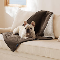 Bedsure waterproof dog blanket folded in coffee brown for compact storage and protection
