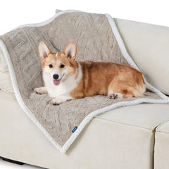 Bedsure waterproof dog blanket on couch protecting furniture from spills.