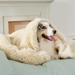 Bedsure waterproof dog blanket cream 50x60 shields spills on sofa while keeping pets cozy.