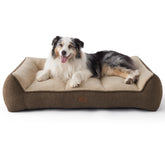 Bedsure XL orthopedic bed with thick foam-core supports joints during naps