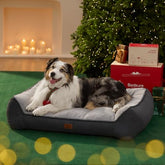Bedsure XL orthopedic dog bed setup highlights spacious lounging for large dogs.