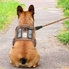 Beebiepet heavy-duty tactical dog harness with Molle system on both sides enables gear attachment.
