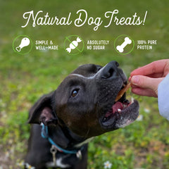 Beg & Barker training treat in hand helps capture dog’s attention