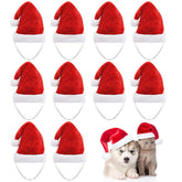 Beiabang Santa hat on a small dog for festive photography.