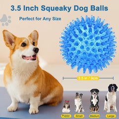 Beieverluck green spikey ball helps encourage chewing and gum health.