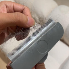 Beiker kit cuidado para perro de pelo corto, solución completa para el pelaje
