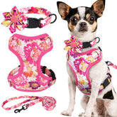 Beirui floral-pink-collar-xxs—removable flower for cute, everyday styling.