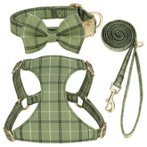 Beirui XXS green plaid dog harness with bowtie, ideal for daily walks and photoshoots