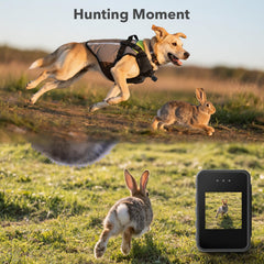 BEISLUO 1080P video capture from dog POV provides clear action footage.