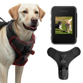 BEISLUO dog harness camera worn for immersive first-person footage.