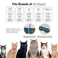 BellyGuard cat recovery suit female-cat-fit provides comfortable fit for female cats.