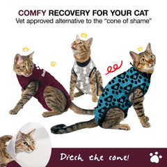BellyGuard cat recovery suit on female cat, secure fit for healing and mobility.