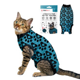 BellyGuard cat-recovery-suit-worn: snug fit protects surgical sites during feline healing.