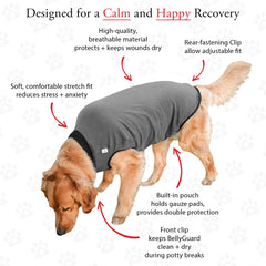 BellyGuard dog recovery bodysuit rolled up for potty breaks with secure flap buttons.