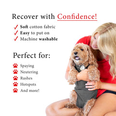 BellyGuard dog-surgery-recovery-suit back-closure close-up highlights secure fit