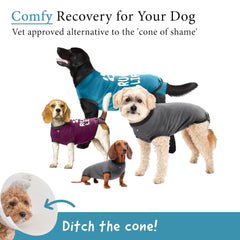 BellyGuard dog surgery recovery suit side profile demonstrates easy on/off design for busy owners.