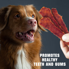 Beloved Pets Duck Tender closeup—100% meat chews suitable for dogs of all sizes.