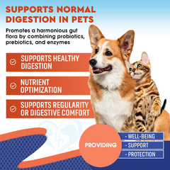Beloved Pets probiotics-enzymes for cats bottle closeup supports digestion.