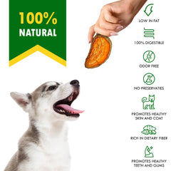 Beloved Pets training snacks bite-size sweet potato chips ideal for commands