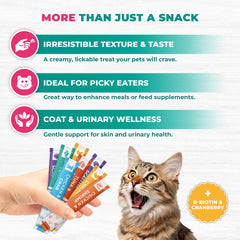 Beloved Pets urinary care tube features cranberry and vitamins for urinary health support.