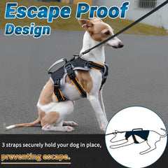 BELPRO dog harness with reflective tape for night safety on streets