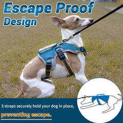 BELPRO harness blue with reflective tape enhances night visibility for walks