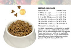 Bench & Field cat kibble close-up showing texture for easy chewing.