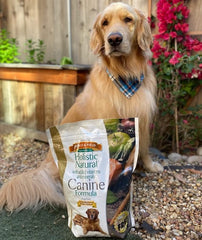 Bench & Field Holistic Natural dog food fruits-vegetables greens show carrots, cranberries, blueberries for nutrition.