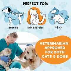 BENCMATE collar inner ring stabilization with everyday collar for secure fit
